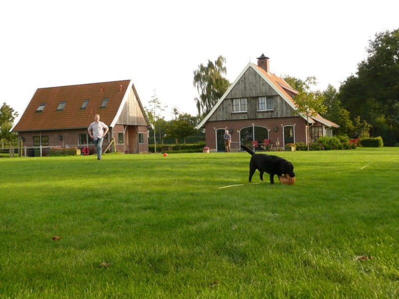 Bouwbedrijf ter Haar Reutum