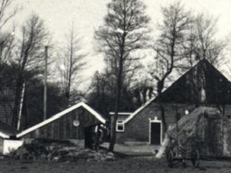 Bouwbedrijf ter Haar Reutum